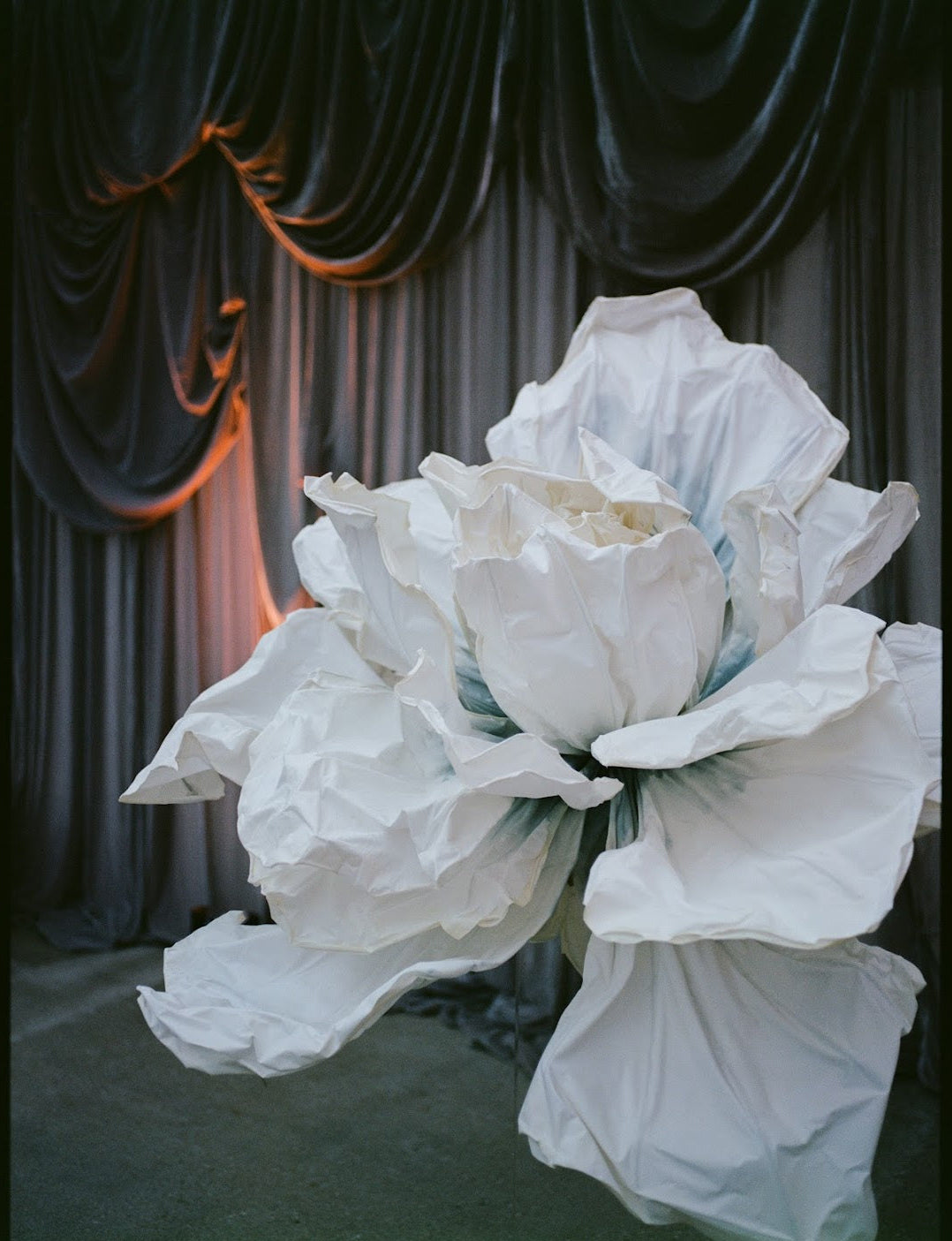 Wedding draping