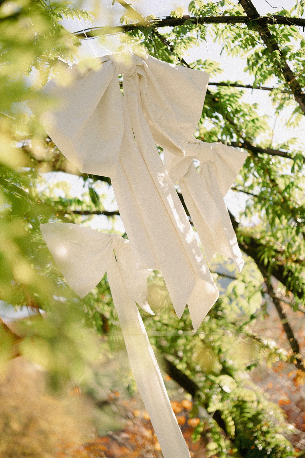 Wedding Bows