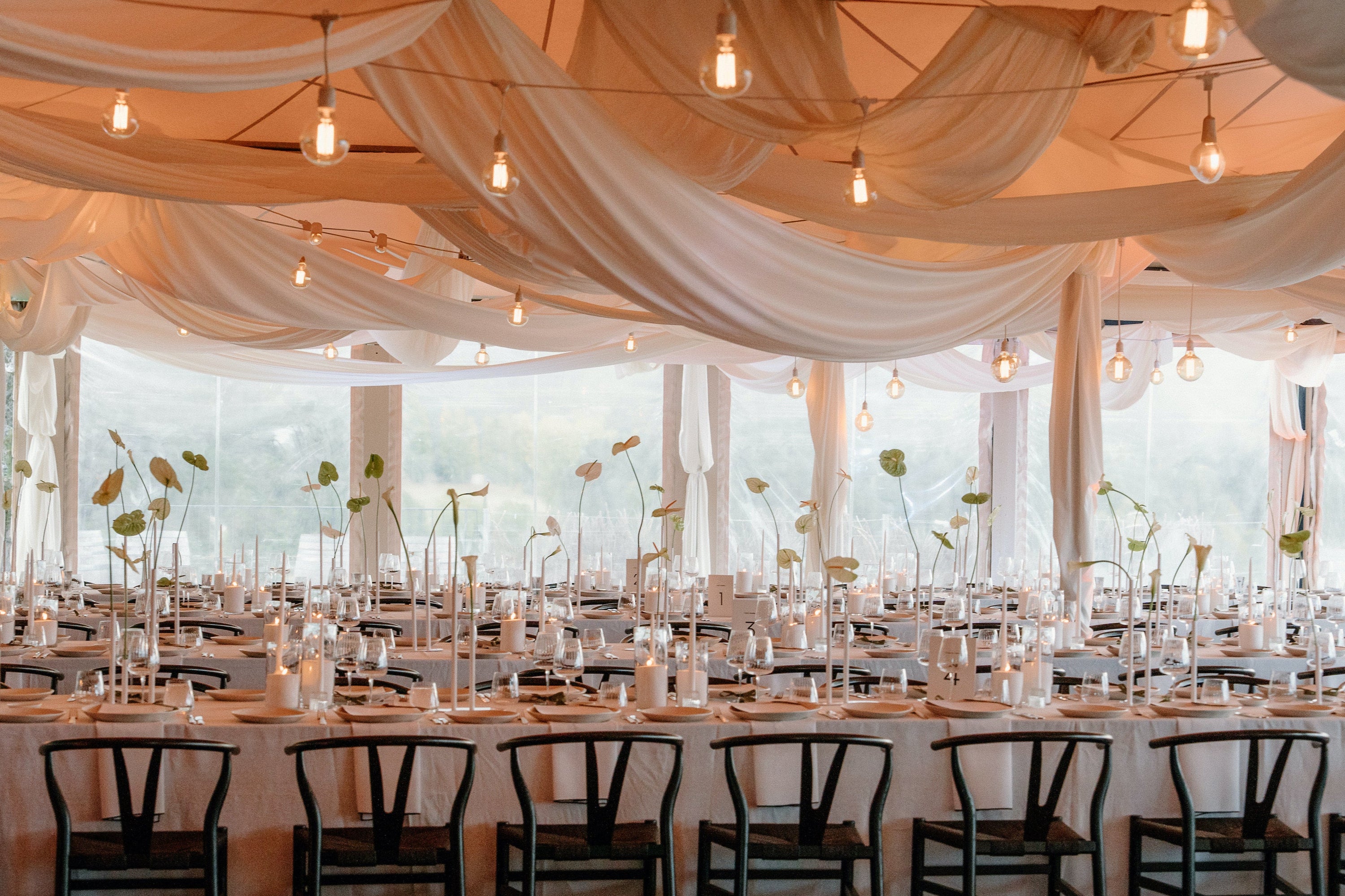 Ceiling draping